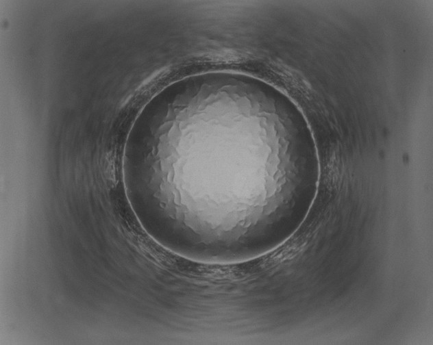 X0000081381205200701111443