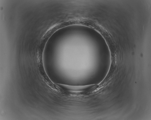 X0000081381206200701111443