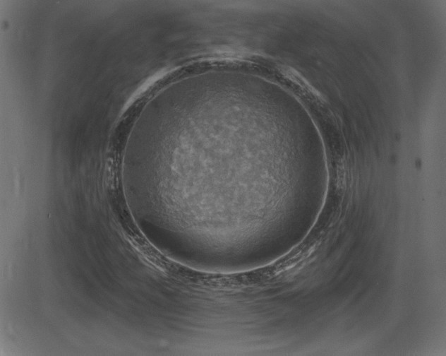 X0000081381208200701111443