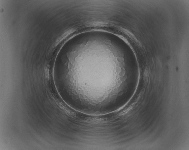 X0000081381209200701111443