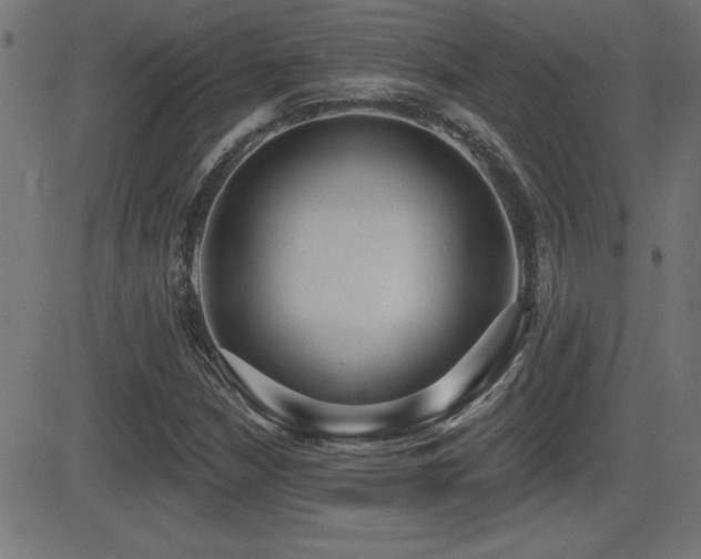 X0000081381210200701111443