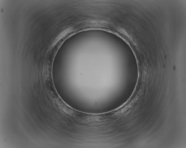 X0000081381211200701111443