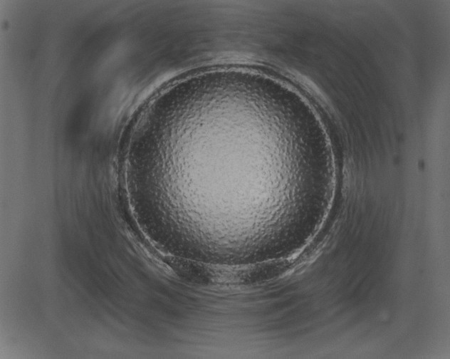 X0000081381212200701111443