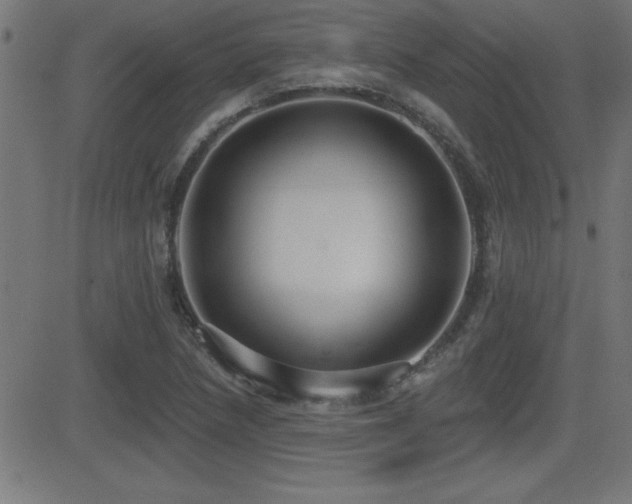 X0000081381218200701111444