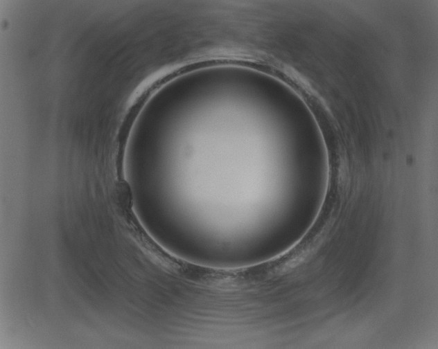 X0000081381222200701111444