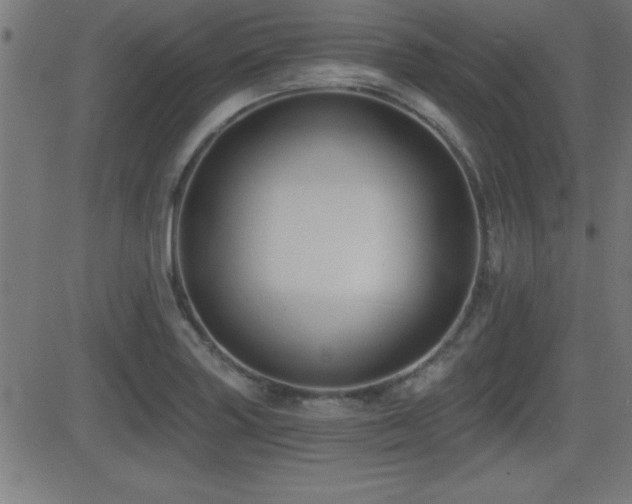 X0000081381227200701111444