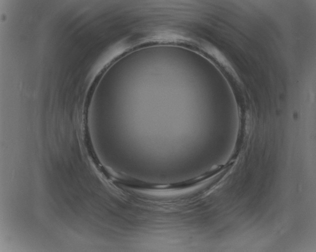 X0000081381229200701111444