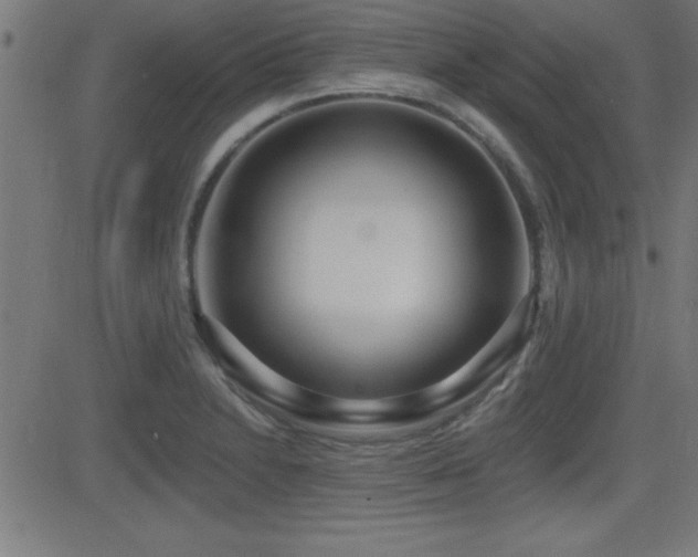 X0000081381230200701111444