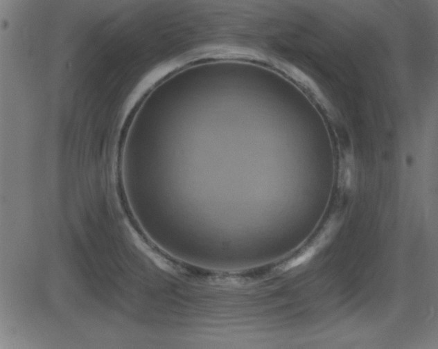 X0000081381231200701111444