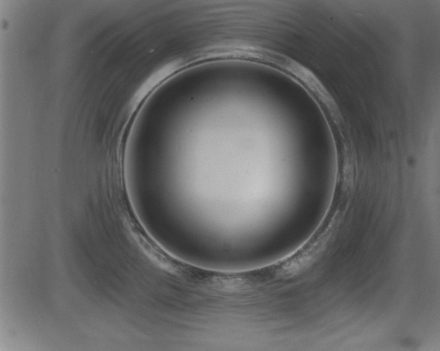 X0000081381242200701111444