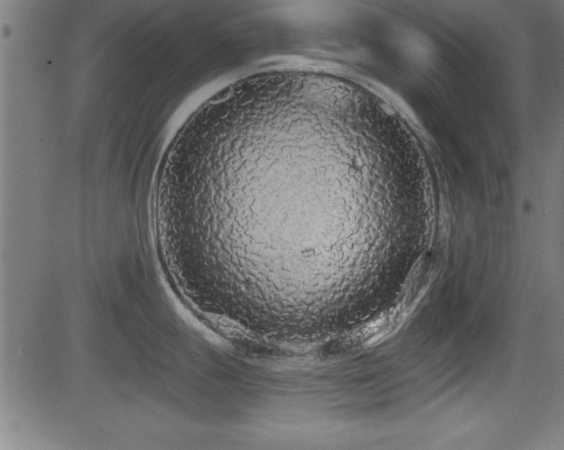 X0000081381247200701111444