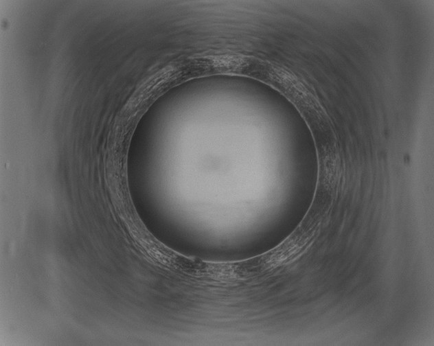 X0000081381249200701111443