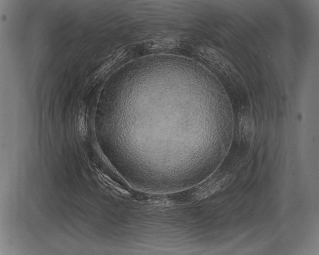 X0000081381250200701111443