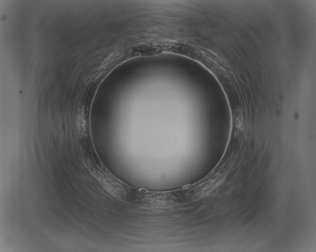 X0000081381252200701111443