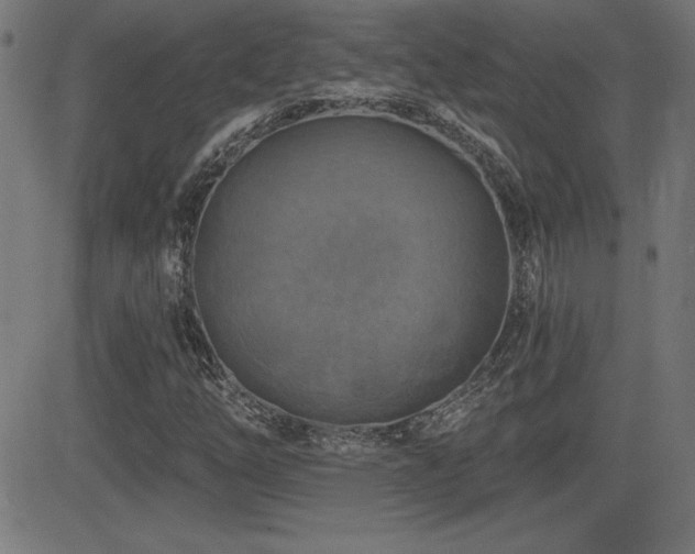 X0000081381254200701111443