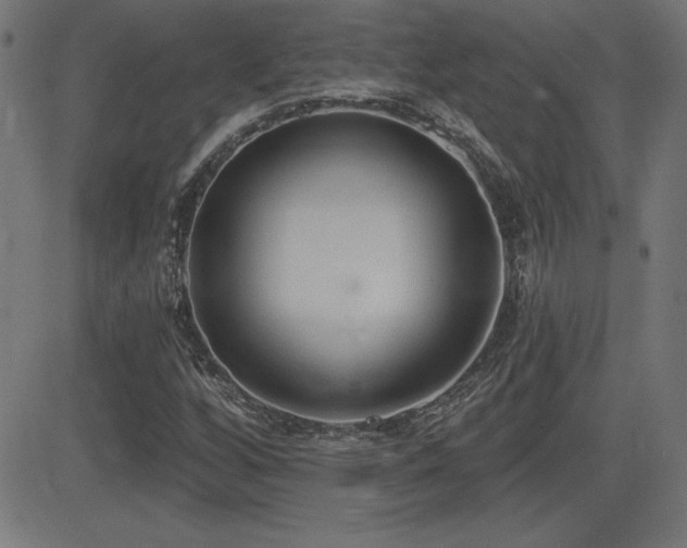 X0000081381256200701111443