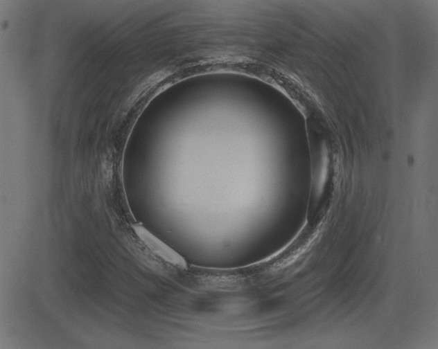 X0000081381257200701111443