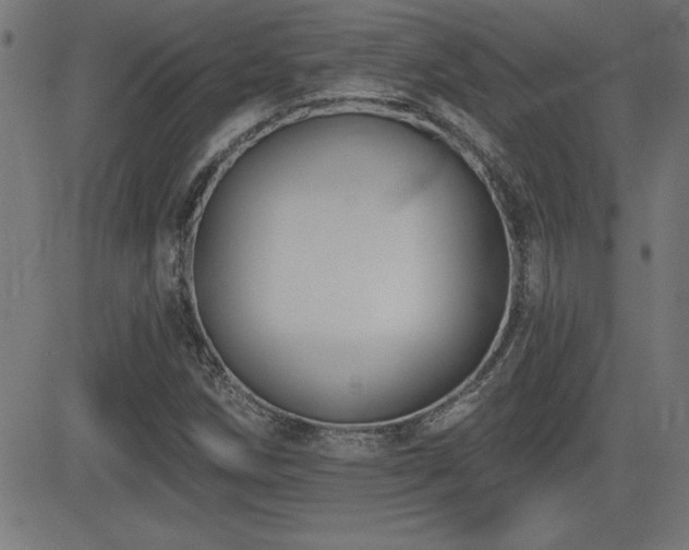 X0000081381258200701111443