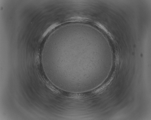 X0000081381259200701111443
