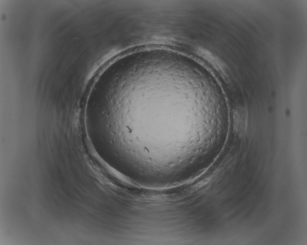 X0000081381260200701111443