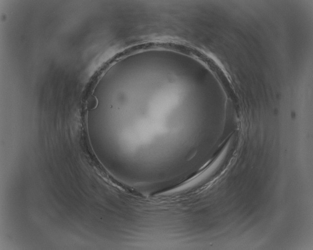 X0000081381263200701111443