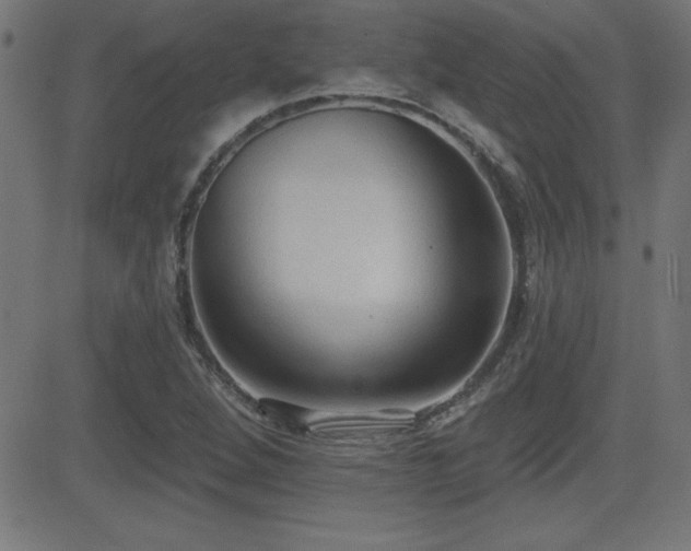 X0000081381264200701111443