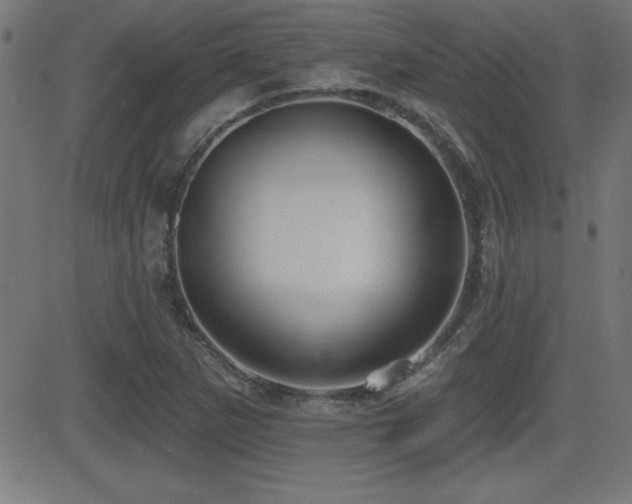 X0000081381265200701111443