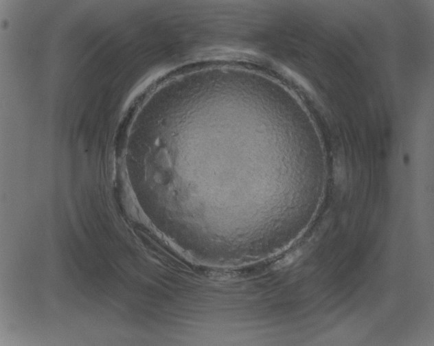 X0000081381267200701111443