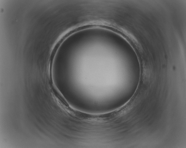 X0000081381272200701111443