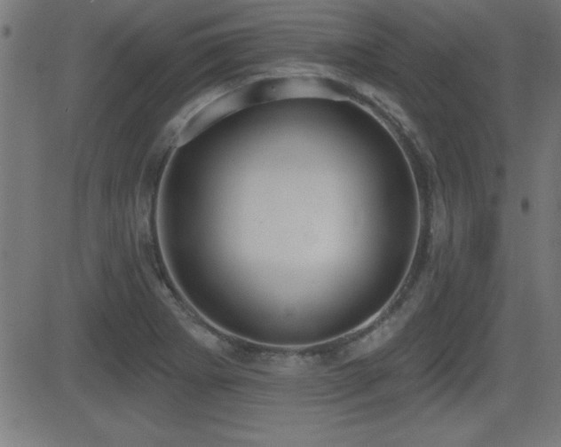 X0000081381273200701111443