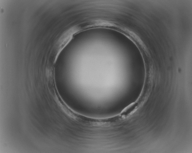 X0000081381281200701111443