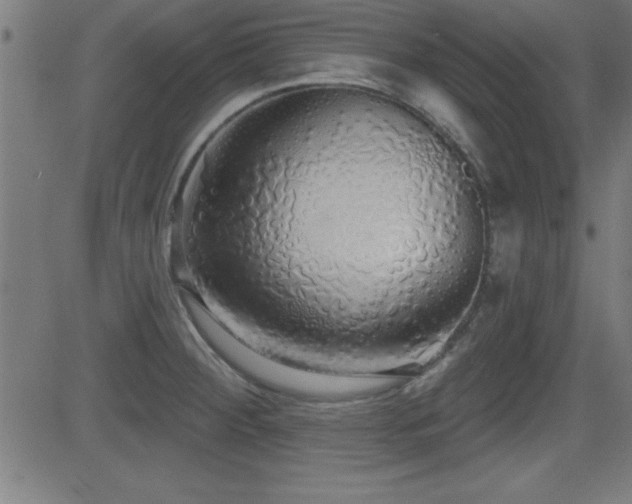 X0000081381284200701111443