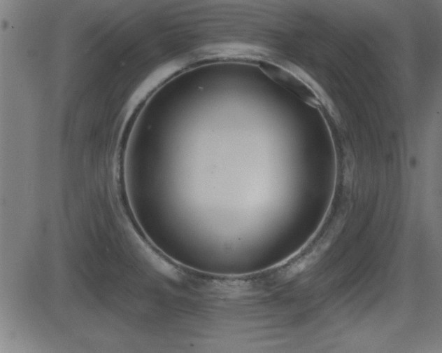 X0000081381285200701111443