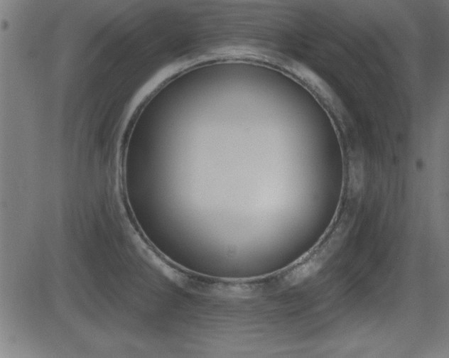 X0000081381286200701111443