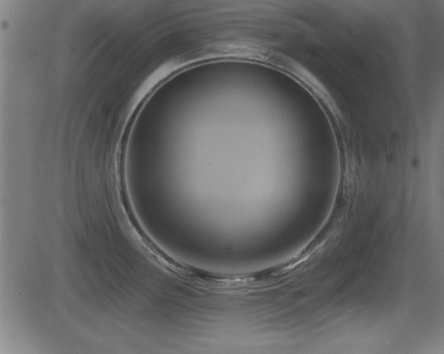 X0000081381291200701111443