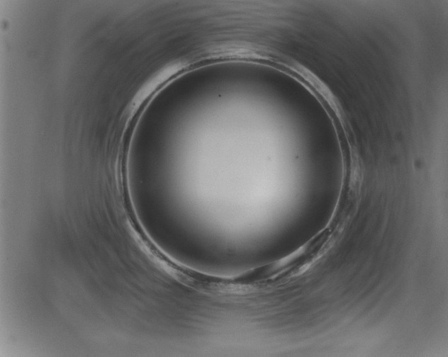 X0000081381293200701111443