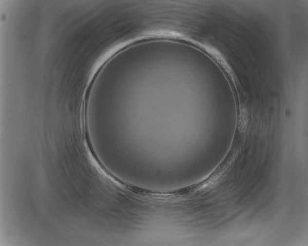 X0000081381295200701111443