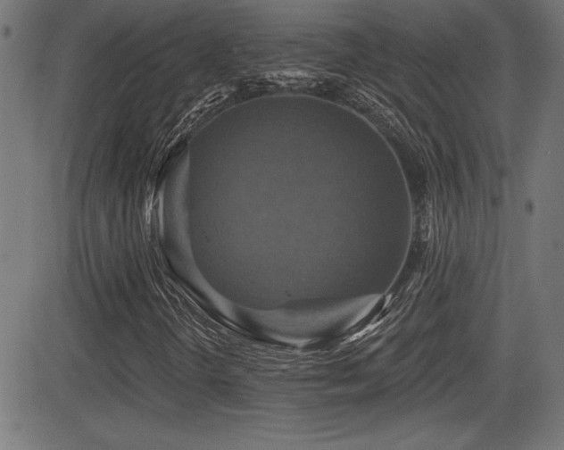 X0000081381298200701111442