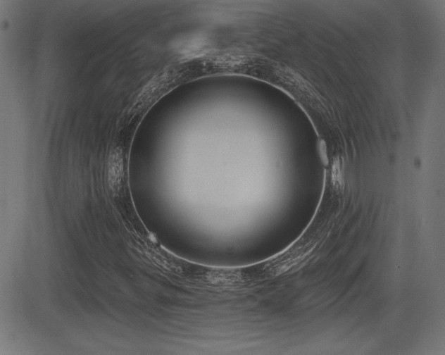 X0000081381299200701111442