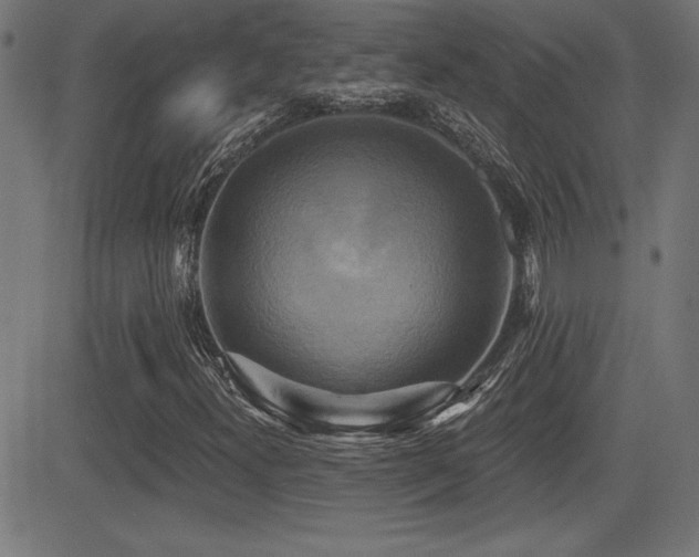 X0000081381300200701111442