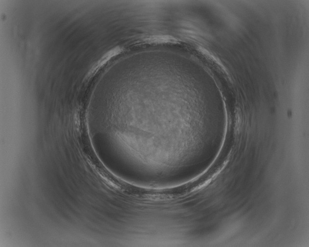 X0000081381305200701111442