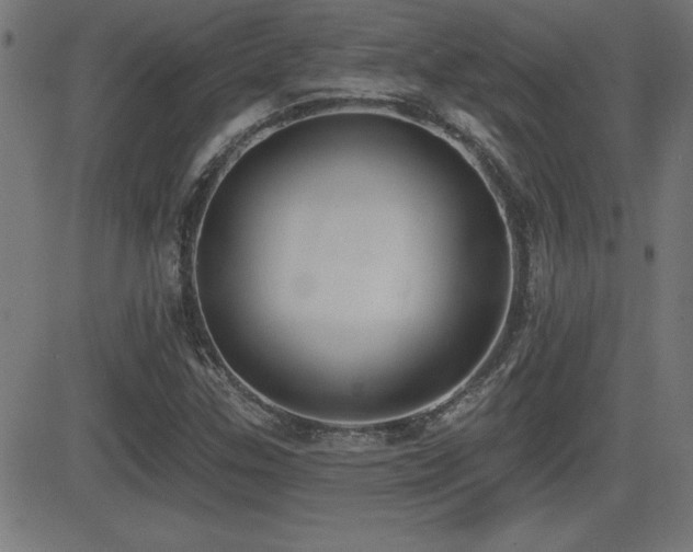 X0000081381307200701111442