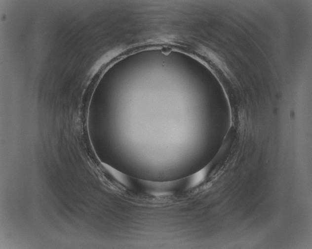 X0000081381308200701111442