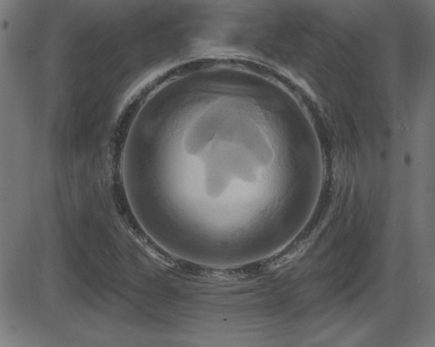 X0000081381311200701111442
