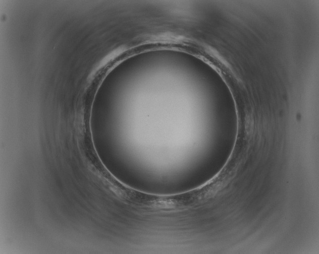 X0000081381315200701111442