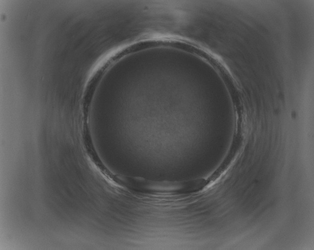 X0000081381319200701111442