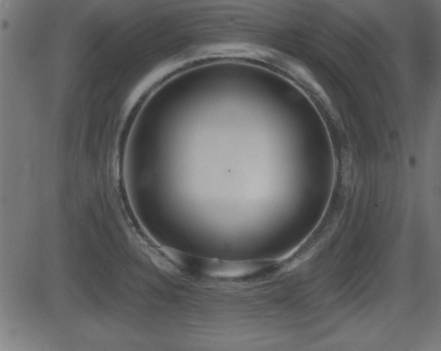 X0000081381328200701111442