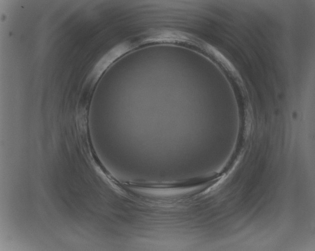 X0000081381329200701111442