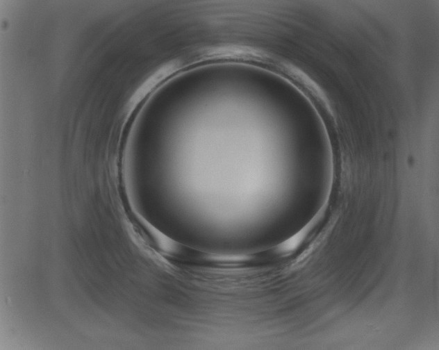 X0000081381330200701111442