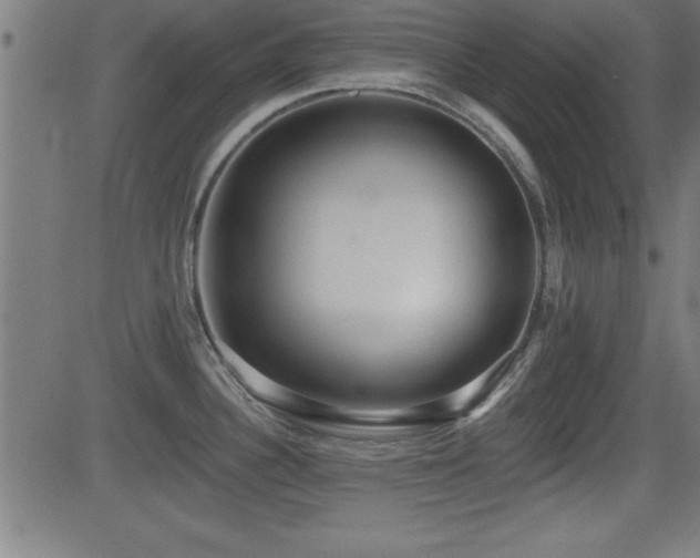 X0000081381340200701111442